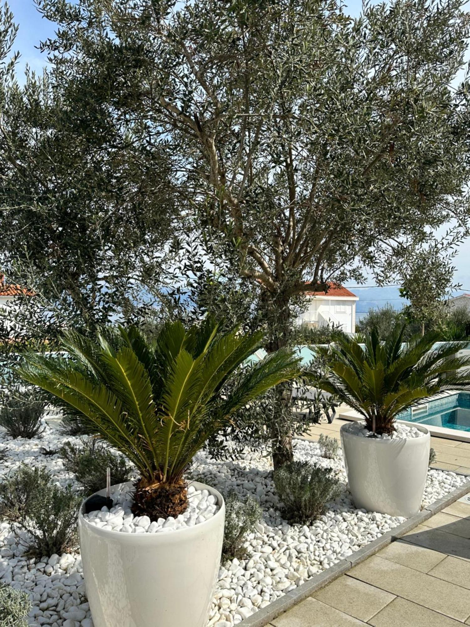 טרוגיר Apartments Marina מראה חיצוני תמונה