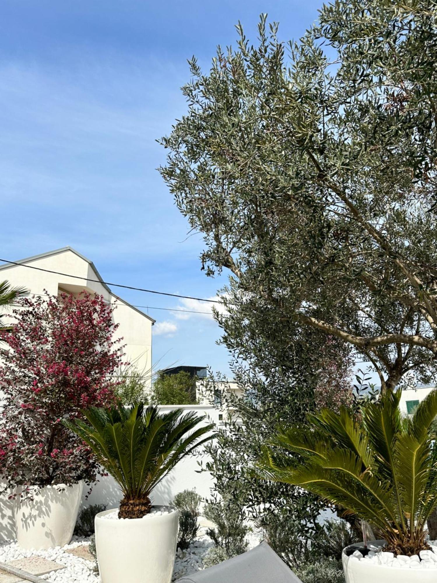 טרוגיר Apartments Marina מראה חיצוני תמונה