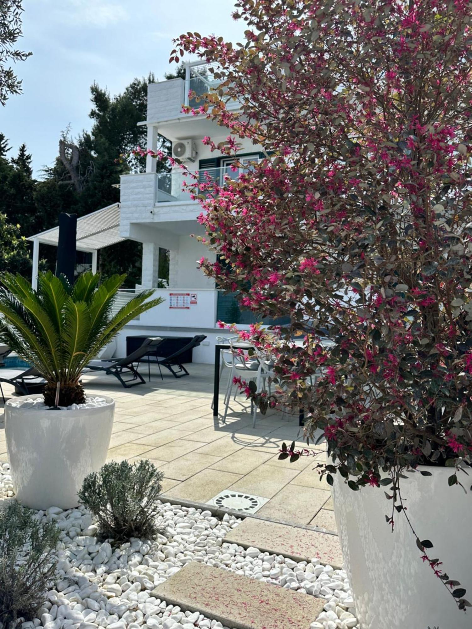 טרוגיר Apartments Marina מראה חיצוני תמונה