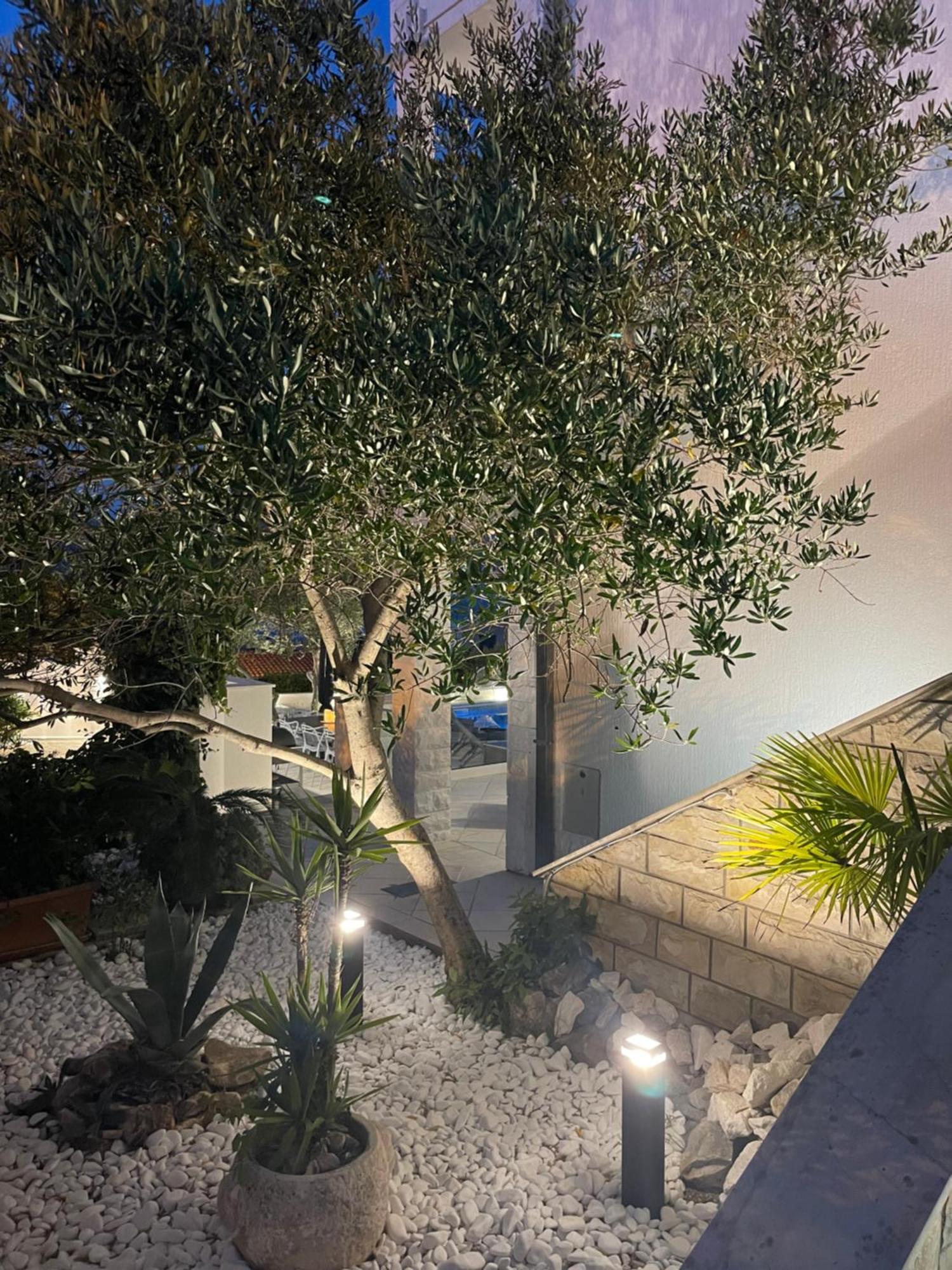 טרוגיר Apartments Marina מראה חיצוני תמונה